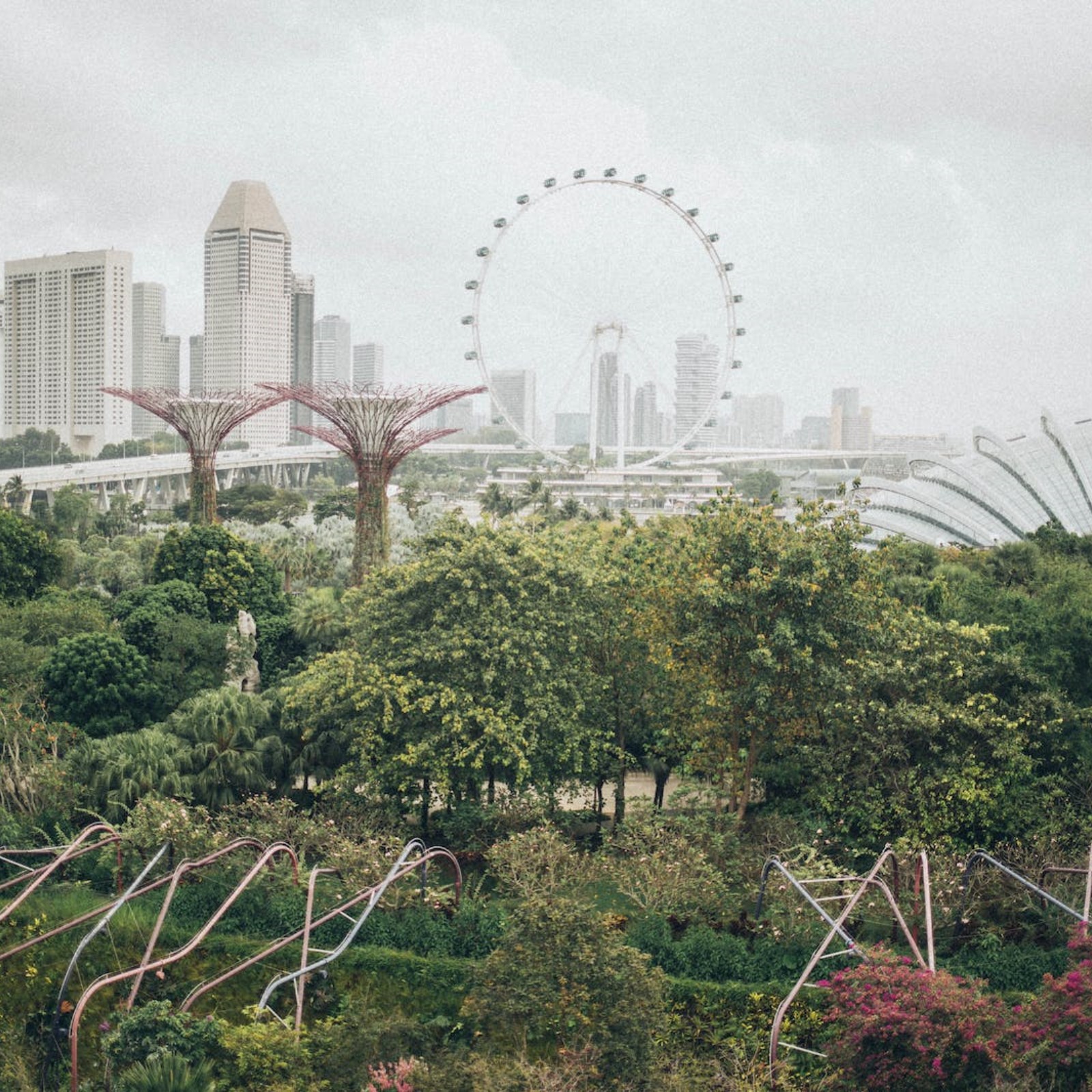 上海有哪些中医药大学